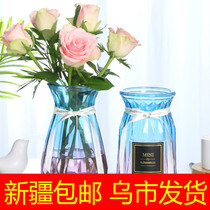 Xinjiang gradient vase glass transparent water raising arrangement living room flower bottle vase Nordic dry flower vase