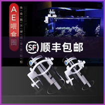 Red starfish feeding ring acrylic fish tank feeding ring fish feeding ring AE hanging cylinder type tendon feeding ring