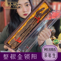 Authentic Inner Mongolia Alashan Suoyang 500g whole male bubble wine material Golden Suoyang tablets can be matched with Cistanche epimedium