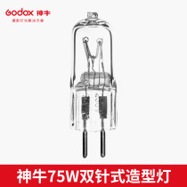 Shenniu original 75W two-pin shape bulb flash shooting 150 160 200 240W photography lamp photo