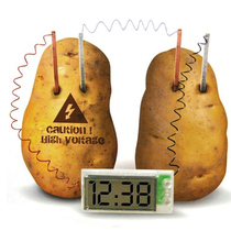 Potato clock Fruit power battery Creative science and technology small production material package Science experiment equipment Kindergarten manual