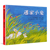 Escape from home rabbit Xinyi 0 to 2-3-4-5-6-8 childrens picture book preschool growth kindergarten baby first grade story young Enlightenment book early education before going to bed