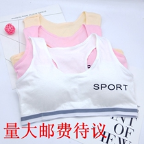 Winter student bra English letter sports vest girl developmental underwear girl girl cotton wrap chest