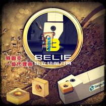 High-quality domestic CNC grooving cutter bar TTER L 2020-2 3 4 5 pass Tegu NC grooving blade