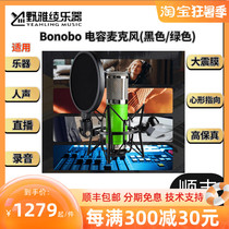 Bananas Monkey Monkeybana Bonobo Microphone Musical Instrument People Live