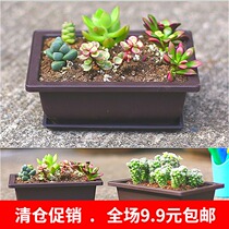 Environmental protection resin imitation purple sand fleshy flower pot Desktop indoor small flower pot Balcony flower green plant classical square flower pot