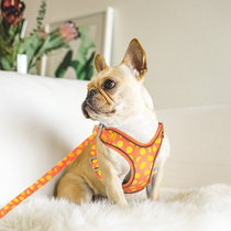 Small dog puppies Traction Rope Vest Style Teddy Beauties Kitty Chest Braces for medium dog puppies Walking Dog Ropes