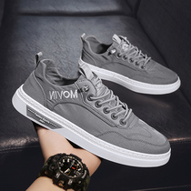 Summer breathable canvas mens shoes old Beijing Ice Silk cloth shoes mens casual board shoes a pedal lazy trendy shoes