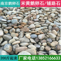 Nanjing transformer pebbles Rain pebbles River pebbles River pebbles Washing stones Garden courtyard paving stones Landscaping stones