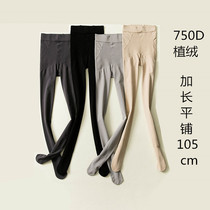 Tall lengthened spring and autumn pantyhose brushed stockings thin fluff ring thin pressure beautiful legs ultra-long bottoming socks women