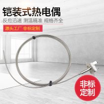 K-type armored thermocouple WRNK-101 102 iron wire thin probe for heat treatment temperature sensing probe