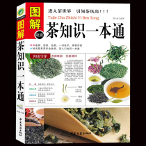 Graphical quick check tea knowledge forensa tea tea fashion nutrition tea full collection tea introduction tea introduction beauty loss fat reduction disease prevention diet nutrition and health care