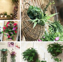 Rattan pastoral wall-mounted flower blue flower pot storefront household hanging orchid semi-round rose potted flower arrangement Wall