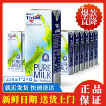 New Zealand imported pure milk New Zealand 250ml * 24 full box 2 pieces# XGY1#