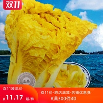 Egg yolk cabbage seeds autumn yellow heart Big White rapeseed Four Seasons fast rapeseed delicious easy to live and high yield vegetable seeds