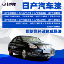 Nissan series car series Car paint Finished paint Car paint repair Car paint renovation spray paint scratch repair