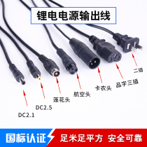 Lithium battery electric car charger Output line male plug Canon head DC Head Video Head Air Head Character Head