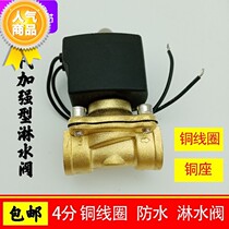 Car shower solenoid solenoid valve with strainer electromagnetic water drain switch van drip brake gonorrhea accessories 24V