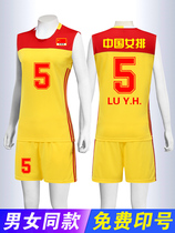 Sleeveless volleyball suit suit team uniform mens and womens quick-dry training competition suit breathable volleyball sportswear printing number