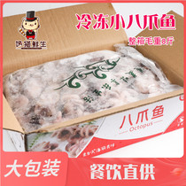 Frozen small octopus gross weight 8kg completely thawed 5kg hot pot ingredients supply large quantity