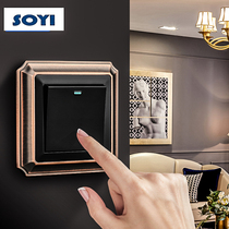 soyi86 concealed one-open five-hole socket panel Multi-control home retro Chinese style Nordic bronze switch socket