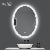 Smart bathroom mirror LED oval touch screen with light toilet toilet wall mirror Toilet makeup mirror