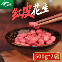 Northeast Red Peanut 500 GX2 2021 new red skin red red seed seed peanut fresh without Shell Raw