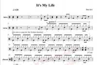 (397) Bon Jovi-its My Life Shelf Drum Jazz Drum Original Drum Music pop music