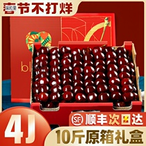 Dalian Beauty Early Car Centily Fresh Fruit When Season Full Box 10 Catty Pregnant Woman 3j4j Extra Large Fruit Original Box Gift Boxes 5