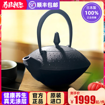 Japan original imported southern iron cast iron teapot household health pot pig iron bubble teapot gift for self-use