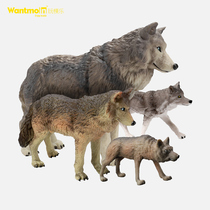 Play Mold Emulation Animal Wild Wolf Model Solid Plastic Big Grey Wolf Prairie Wolf Wildlife Model Toys