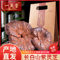 (Buy 2 get 1) Changbai Mountain Gingzhi slices wild growth Linzhi purple Ganoderma lucidum whole slice 250g water