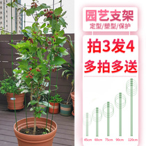 Climbing tree flower holder rose flower stand plant pot indoor flower support Rod gardening clematis clematis Morning Glory climbing