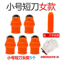 Vegetable picking Finger Set vegetable artifact picking pepper Bean non-slip strawberry nail agricultural tea thumb knife