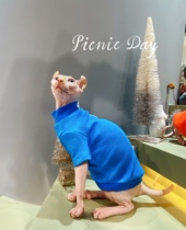 Cream is only hairy cat Svenx Devin Konis Spring Summer High collar pure cotton kitty clothes elastic