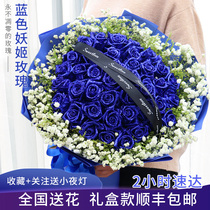 National Blue Demon Ji Bouquet Blue Rose Gift Box Flowers Express City Nanjing Hangzhou Suzhou Birthday Delivery Flower
