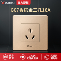 Bull switch socket 16A high power water heater air conditioner with three holes wall outlet panel G07 gold