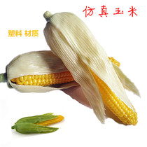 Simulation of corn cob ornaments simulation home decoration photography plastic fake fruit vegetable corn model teaching aids