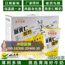 Xiaoxiu Qinghai Oat Ren Old Yogurt Plateau Special 180g * 12 Probiotics Flavor Fermented Breakfast Milk
