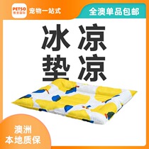 All Australia Pidan pet honey lemon ice mat cat and dog cool mat sleeping mat