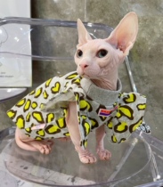 Cream is only hairy cat Svenx Devin CoNice Abbey Pets Kitty Full Cotton Clothing Breathable