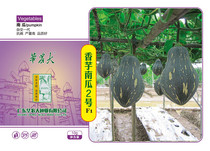 South China Agricultural University Taro No 2 pumpkin pumpkin seeds taro taste four seasons high yield delicious delicious