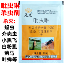 GG Guoguang 10% imidacloprid aphid planthopper
