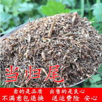Angelica tail Min County angelica required 1000 grams of non-angelica head full angelica sheet grindable powder