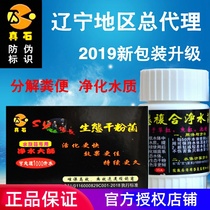 SY twice long real stone ecological dry powder bacteria Nitrochemical Bacteria Twice Long Fish Tank Aquarium Water Quality Fast Purification Master