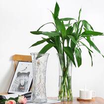 Thickened large hexagonal transparent glass vase water-raised lily flowers rich bamboo vase living room decoration ornaments