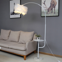 Feather floor lamp Bedroom ins Wind princess girl Net Red Nordic Fishing lamp Living room Coffee table lamp Bedside lamp