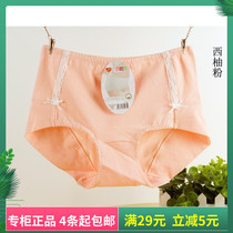 Daisy girl underwear 25085 womens mid-rise cotton L code moisture-absorbing breathable bow boxer briefs for women