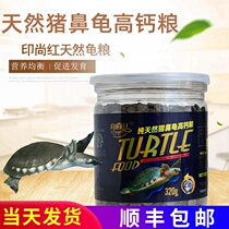 Yinshang red pig nose turtle feed pig nose turtle high calcium turtle grain sinking tortoise grain yellow-headed side-necked turtle grain razor tortoise grain