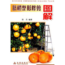 Genuine book Navel Orange Plastic Trimming Illustrations edited by Chen Jie Golden Shield Press